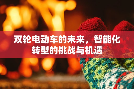 双轮电动车的未来，智能化转型的挑战与机遇