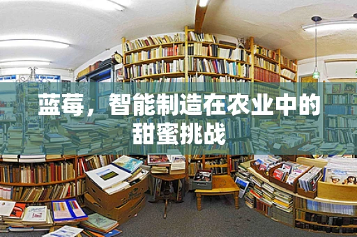 蓝莓，智能制造在农业中的甜蜜挑战