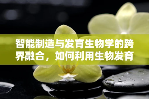 智能制造与发育生物学的跨界融合，如何利用生物发育原理优化机器学习算法？