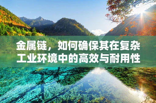 金属链，如何确保其在复杂工业环境中的高效与耐用性？