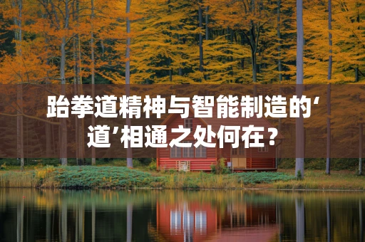 跆拳道精神与智能制造的‘道’相通之处何在？