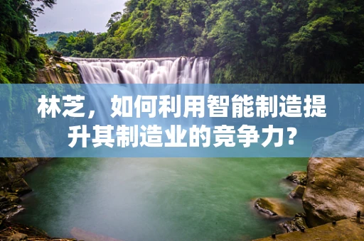 林芝，如何利用智能制造提升其制造业的竞争力？