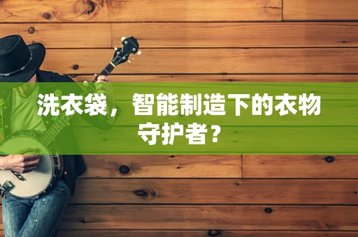 洗衣袋，智能制造下的衣物守护者？
