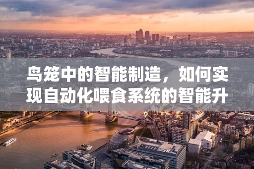 鸟笼中的智能制造，如何实现自动化喂食系统的智能升级？