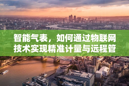 智能气表，如何通过物联网技术实现精准计量与远程管理？
