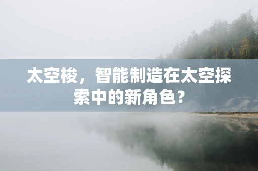 太空梭，智能制造在太空探索中的新角色？