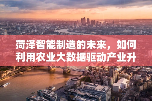 菏泽智能制造的未来，如何利用农业大数据驱动产业升级？