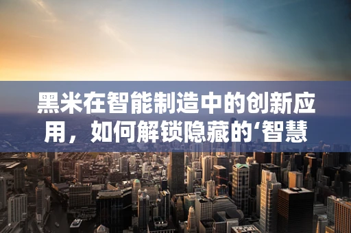 黑米在智能制造中的创新应用，如何解锁隐藏的‘智慧’潜力？