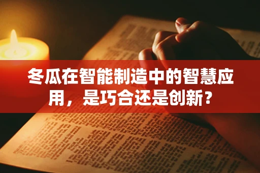冬瓜在智能制造中的智慧应用，是巧合还是创新？