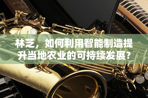 林芝，如何利用智能制造提升当地农业的可持续发展？