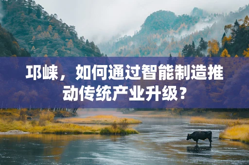 邛崃，如何通过智能制造推动传统产业升级？