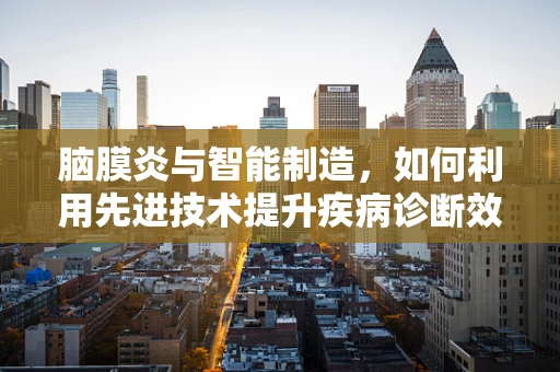 脑膜炎与智能制造，如何利用先进技术提升疾病诊断效率？