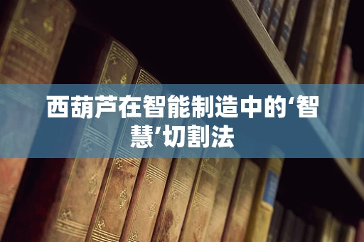 西葫芦在智能制造中的‘智慧’切割法