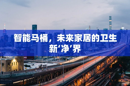 智能马桶，未来家居的卫生新‘净’界