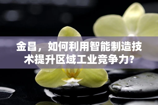 金昌，如何利用智能制造技术提升区域工业竞争力？