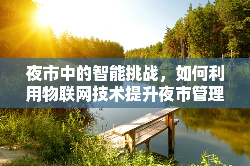 夜市中的智能挑战，如何利用物联网技术提升夜市管理效率？