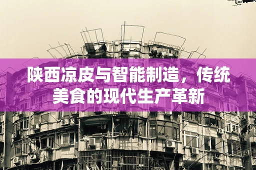陕西凉皮与智能制造，传统美食的现代生产革新