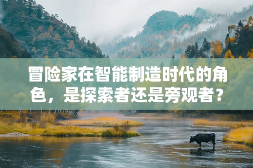 冒险家在智能制造时代的角色，是探索者还是旁观者？