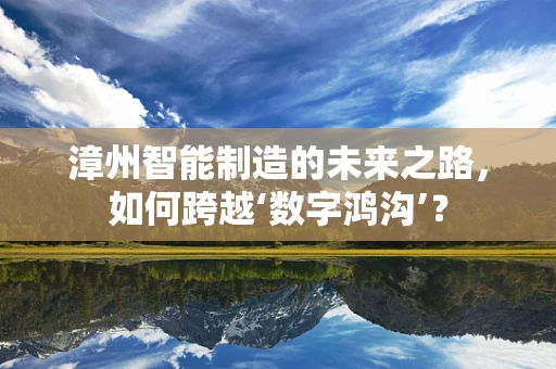 漳州智能制造的未来之路，如何跨越‘数字鸿沟’？