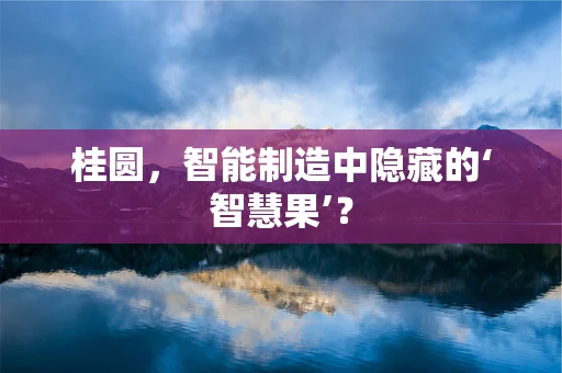 桂圆，智能制造中隐藏的‘智慧果’？