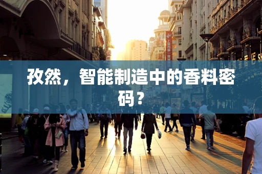 孜然，智能制造中的香料密码？