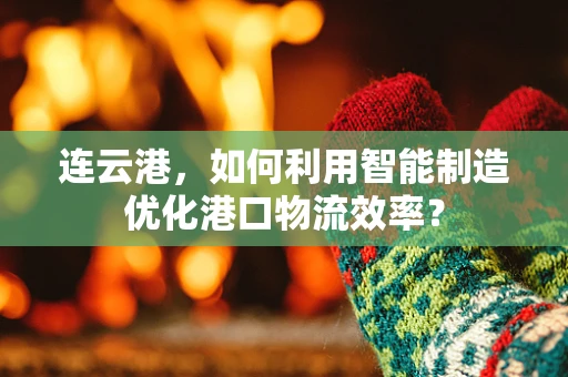 连云港，如何利用智能制造优化港口物流效率？