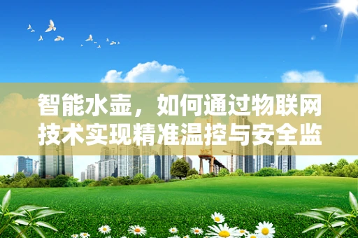 智能水壶，如何通过物联网技术实现精准温控与安全监控？