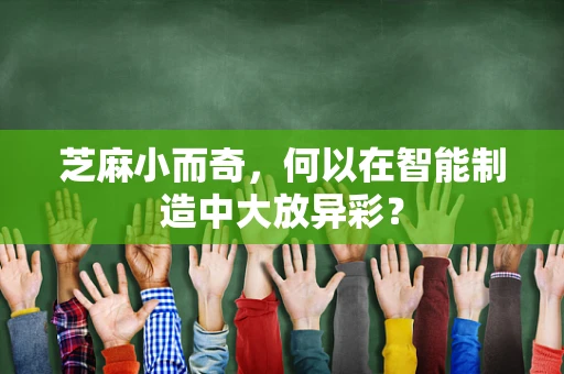 芝麻小而奇，何以在智能制造中大放异彩？