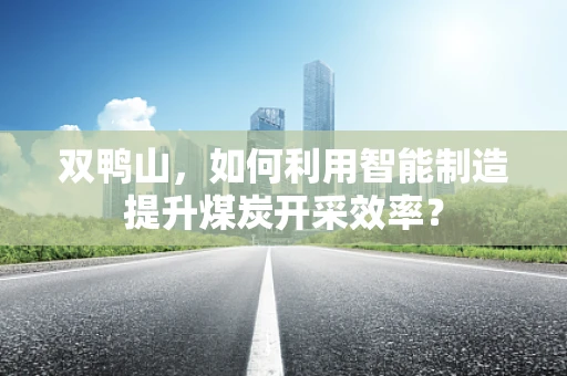 双鸭山，如何利用智能制造提升煤炭开采效率？