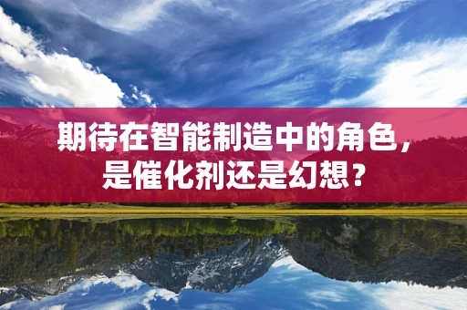 期待在智能制造中的角色，是催化剂还是幻想？