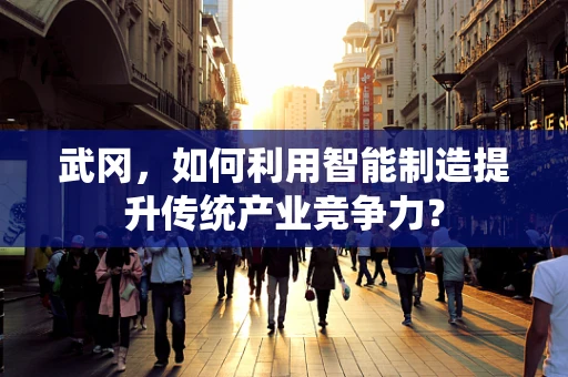 武冈，如何利用智能制造提升传统产业竞争力？