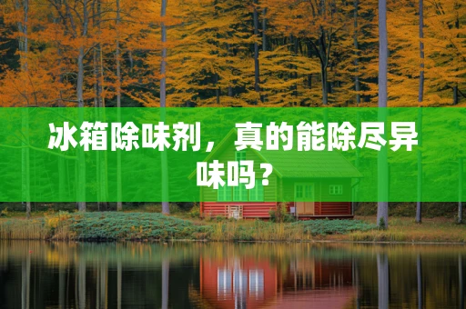 冰箱除味剂，真的能除尽异味吗？