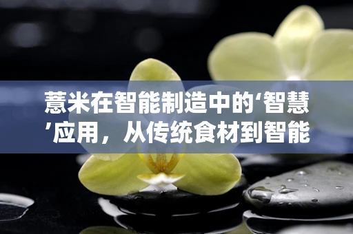 薏米在智能制造中的‘智慧’应用，从传统食材到智能生产的跨界探索