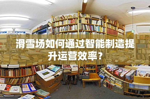 滑雪场如何通过智能制造提升运营效率？