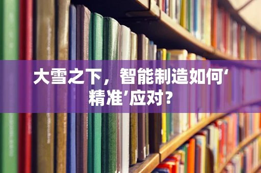 大雪之下，智能制造如何‘精准’应对？