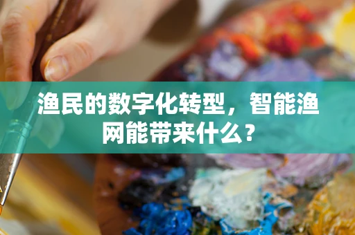 渔民的数字化转型，智能渔网能带来什么？