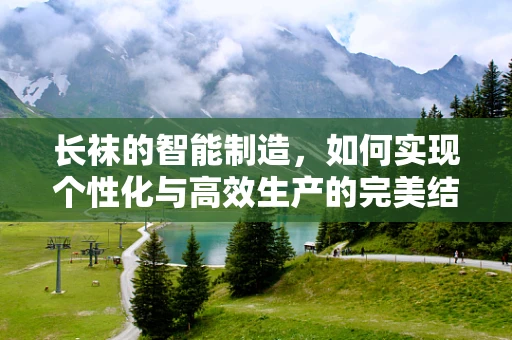 长袜的智能制造，如何实现个性化与高效生产的完美结合？