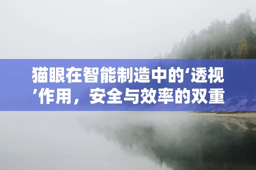 猫眼在智能制造中的‘透视’作用，安全与效率的双重保障？