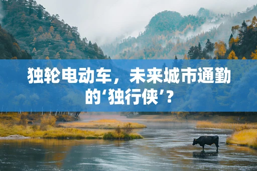 独轮电动车，未来城市通勤的‘独行侠’？
