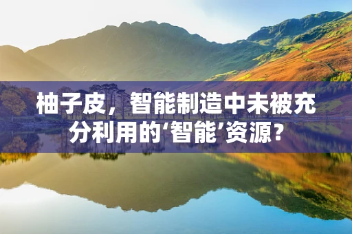 柚子皮，智能制造中未被充分利用的‘智能’资源？