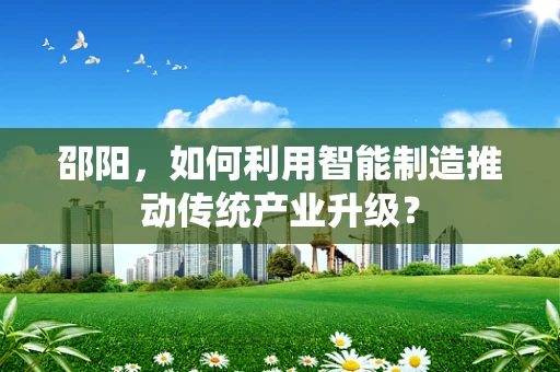 邵阳，如何利用智能制造推动传统产业升级？