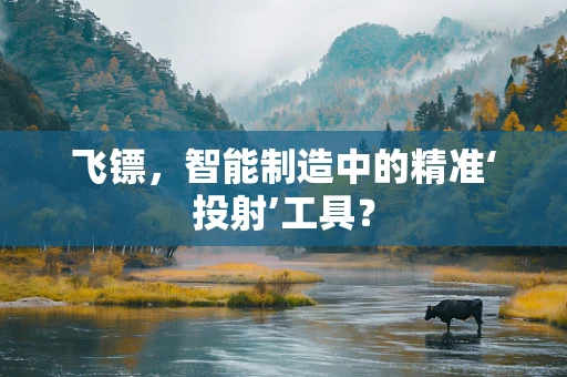 飞镖，智能制造中的精准‘投射’工具？