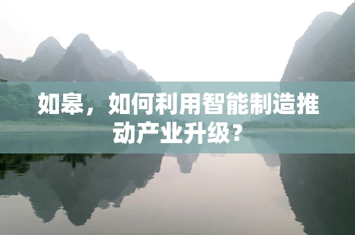 如皋，如何利用智能制造推动产业升级？