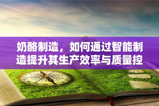奶酪制造，如何通过智能制造提升其生产效率与质量控制？