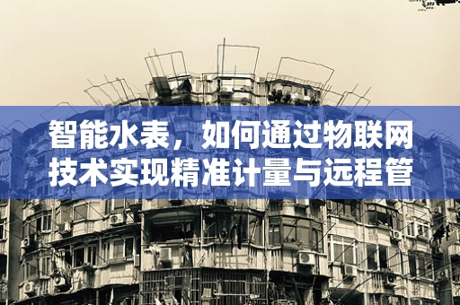 智能水表，如何通过物联网技术实现精准计量与远程管理？