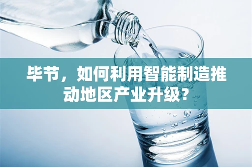 毕节，如何利用智能制造推动地区产业升级？
