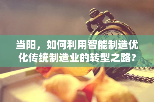 当阳，如何利用智能制造优化传统制造业的转型之路？