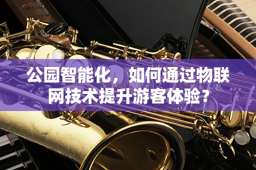 公园智能化，如何通过物联网技术提升游客体验？