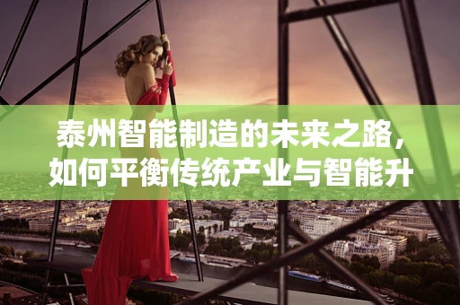 泰州智能制造的未来之路，如何平衡传统产业与智能升级的融合？