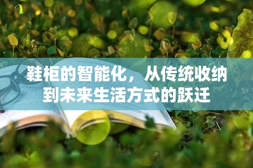 鞋柜的智能化，从传统收纳到未来生活方式的跃迁